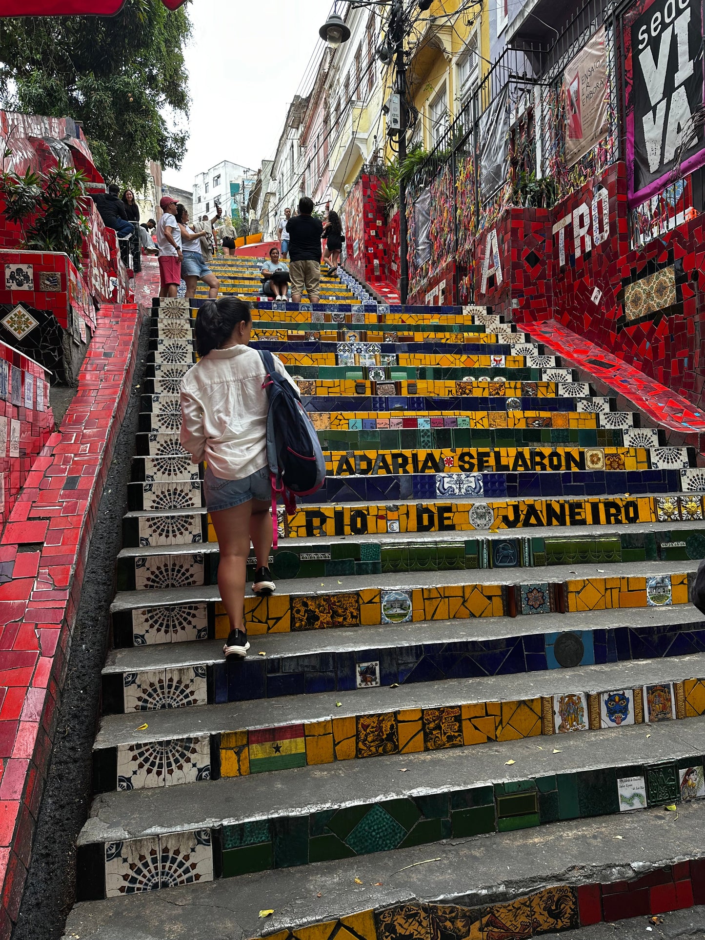 Mirante Dona Marta + Cristo Redentor + Escadaria Selaron + Jardim Botânico