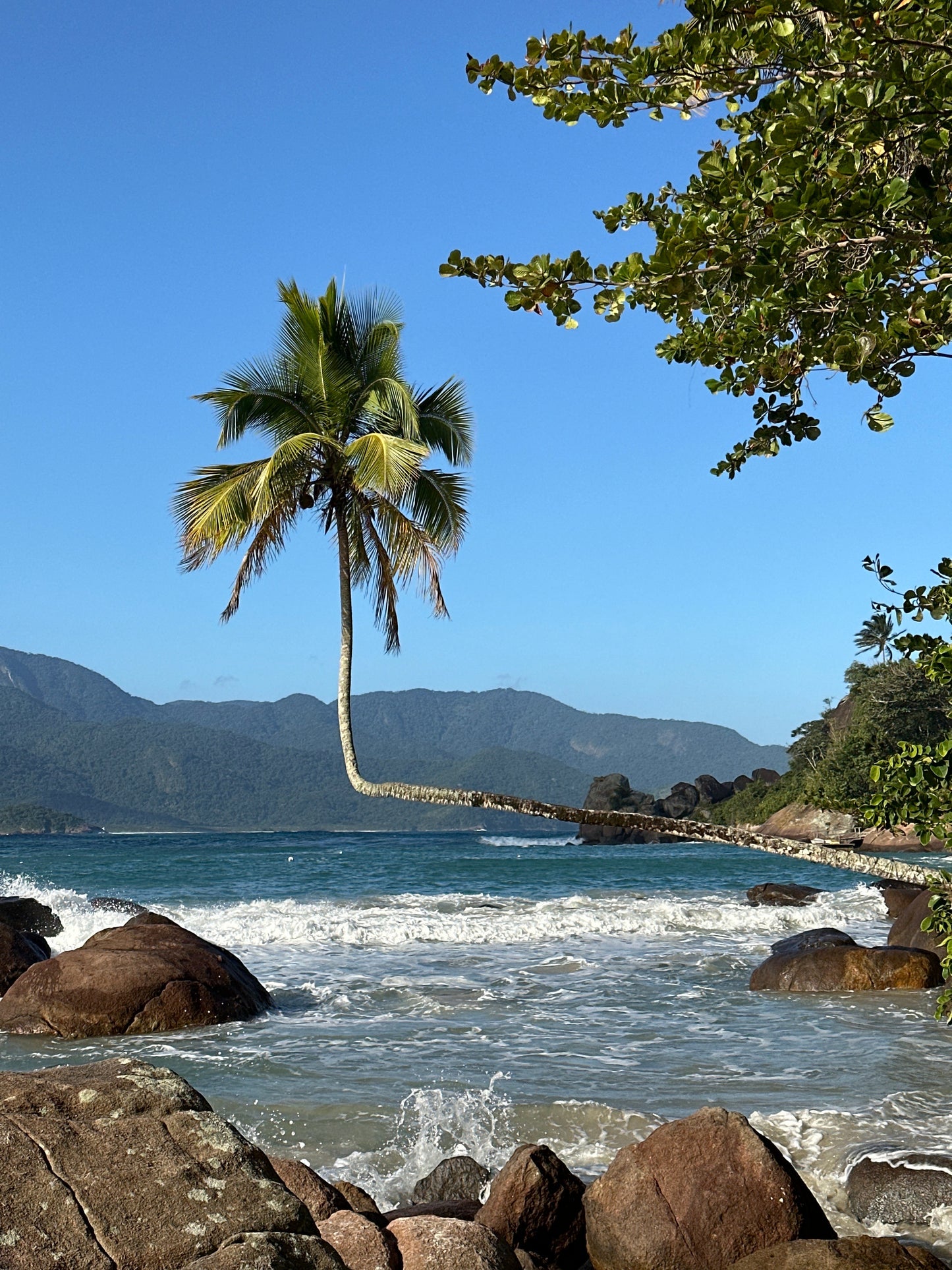 Ilha Grande - Trekking Volta à Ilha (7 dias)
