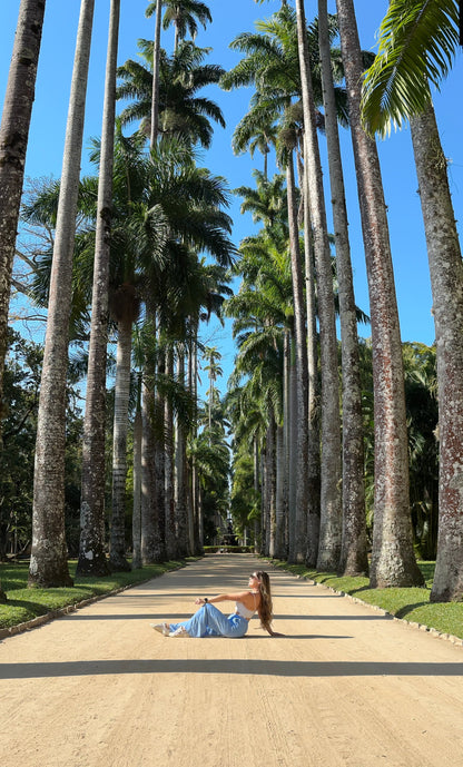 Mirante Dona Marta + Cristo Redentor + Jardim Botânico